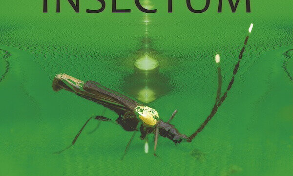 Golden Hornet Presents: INSECTUM